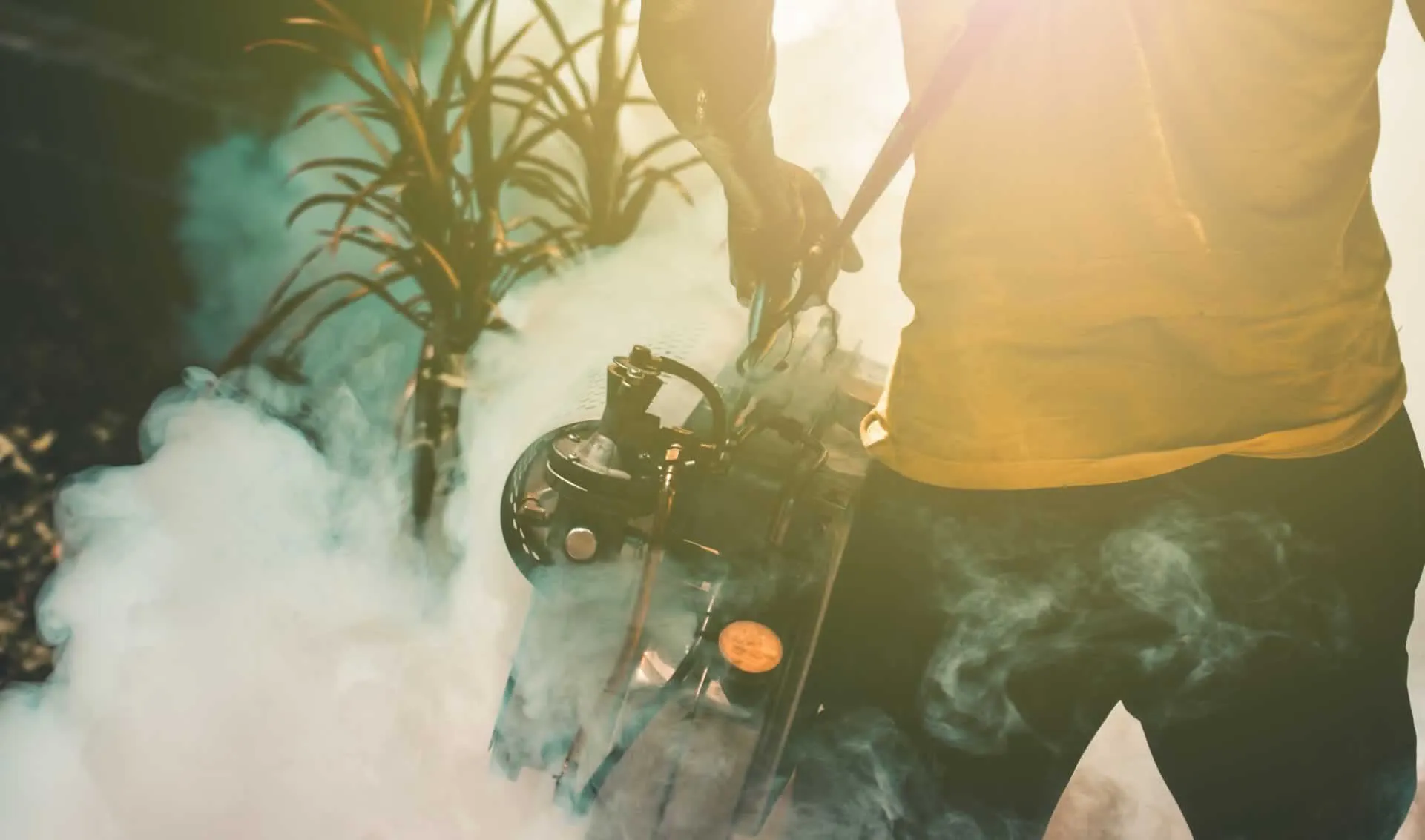 Weed Control and Fumigation Services